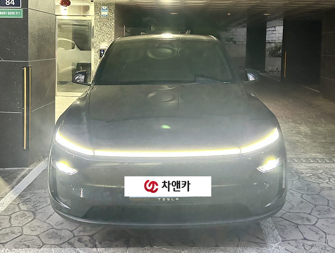 모델Y